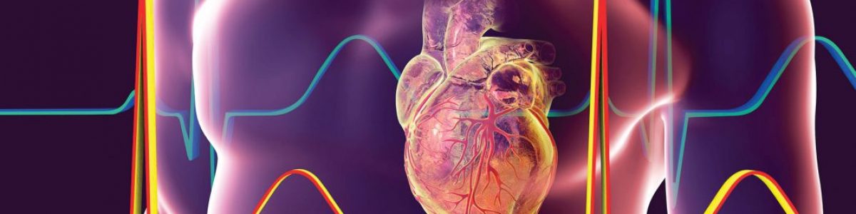 picture for cardiology cardiology